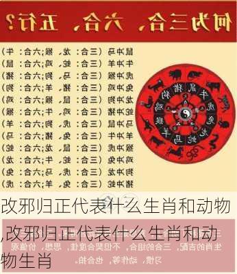 改邪归正代表什么生肖和动物,改邪归正代表什么生肖和动物生肖