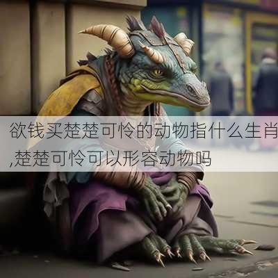 欲钱买楚楚可怜的动物指什么生肖,楚楚可怜可以形容动物吗