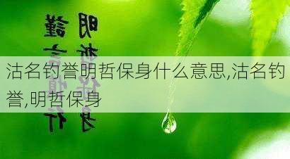 沽名钓誉明哲保身什么意思,沽名钓誉,明哲保身