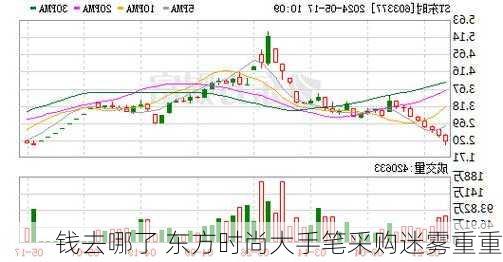 钱去哪了 东方时尚大手笔采购迷雾重重