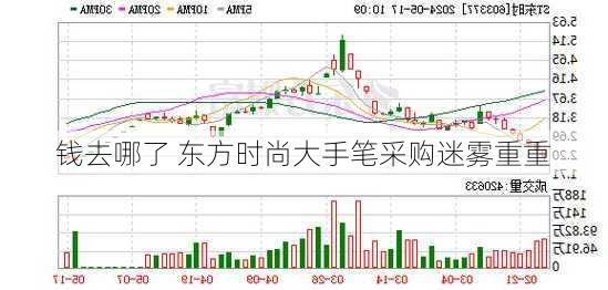 钱去哪了 东方时尚大手笔采购迷雾重重