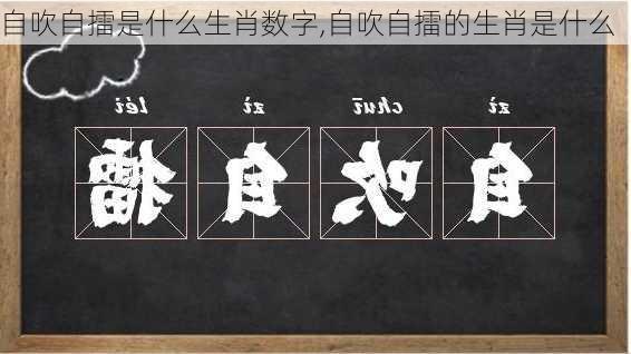 自吹自擂是什么生肖数字,自吹自擂的生肖是什么