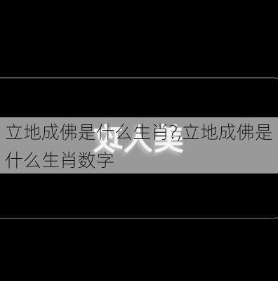 立地成佛是什么生肖?,立地成佛是什么生肖数字