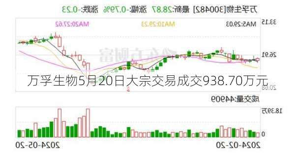 万孚生物5月20日大宗交易成交938.70万元