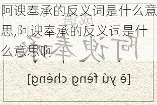 阿谀奉承的反义词是什么意思,阿谀奉承的反义词是什么意思啊