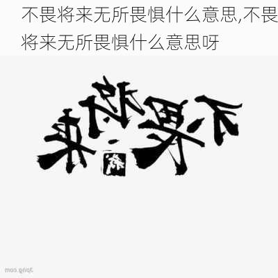 不畏将来无所畏惧什么意思,不畏将来无所畏惧什么意思呀