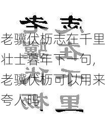 老骥伏枥志在千里壮士暮年下一句,老骥伏枥可以用来夸人吗