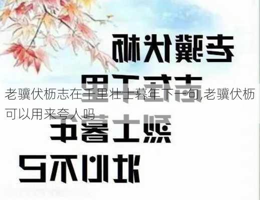 老骥伏枥志在千里壮士暮年下一句,老骥伏枥可以用来夸人吗