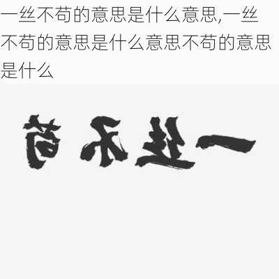 一丝不苟的意思是什么意思,一丝不苟的意思是什么意思不苟的意思是什么