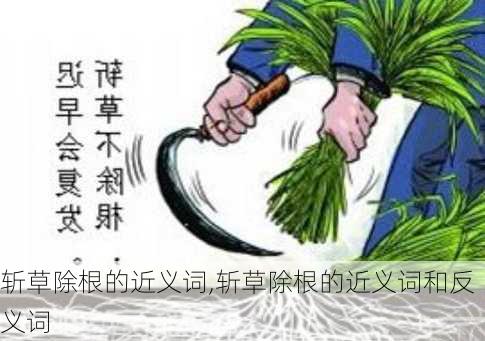 斩草除根的近义词,斩草除根的近义词和反义词