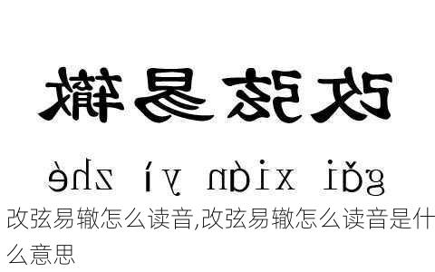 改弦易辙怎么读音,改弦易辙怎么读音是什么意思