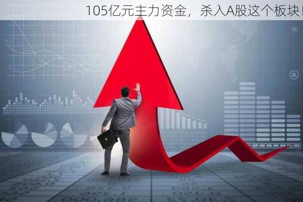 105亿元主力资金，杀入A股这个板块！