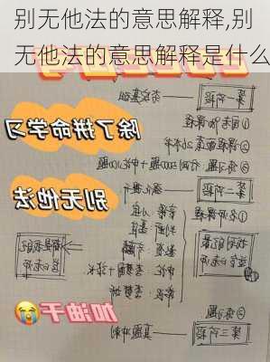 别无他法的意思解释,别无他法的意思解释是什么