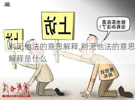 别无他法的意思解释,别无他法的意思解释是什么