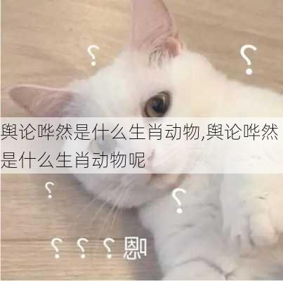 舆论哗然是什么生肖动物,舆论哗然是什么生肖动物呢