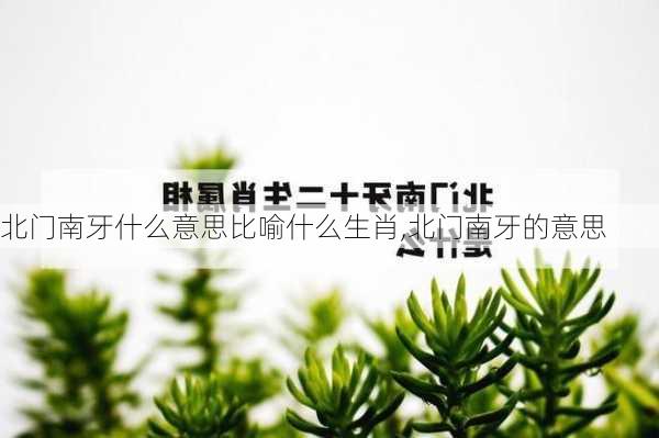 北门南牙什么意思比喻什么生肖,北门南牙的意思