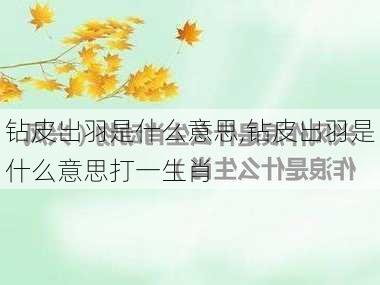 钻皮出羽是什么意思,钻皮出羽是什么意思打一生肖