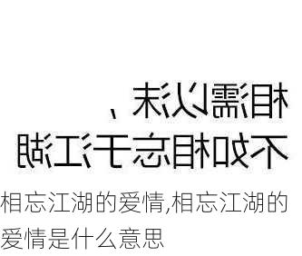 相忘江湖的爱情,相忘江湖的爱情是什么意思