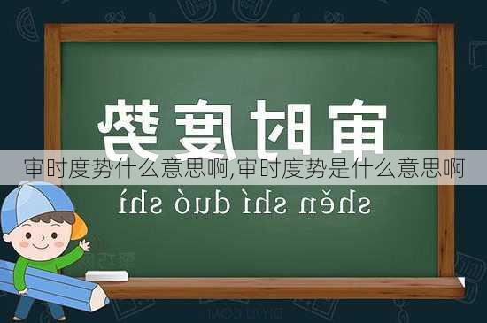 审时度势什么意思啊,审时度势是什么意思啊