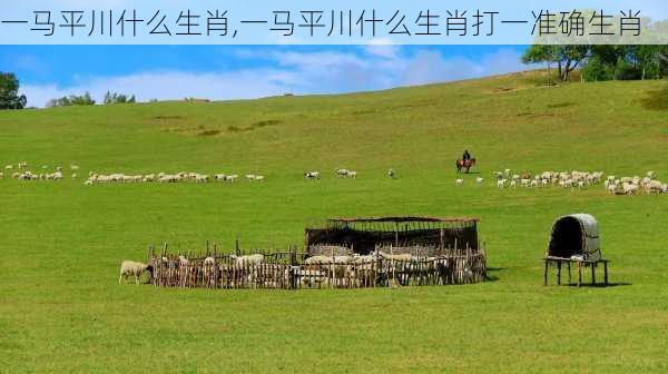 一马平川什么生肖,一马平川什么生肖打一准确生肖