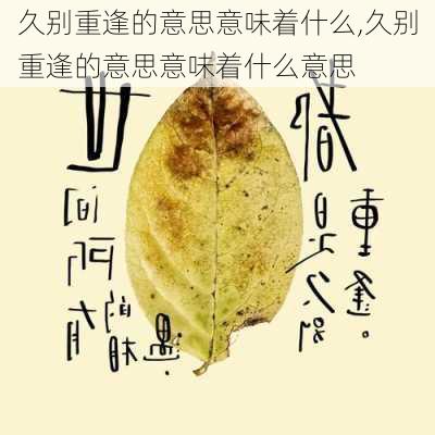 久别重逢的意思意味着什么,久别重逢的意思意味着什么意思