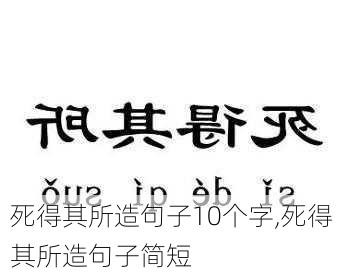 死得其所造句子10个字,死得其所造句子简短