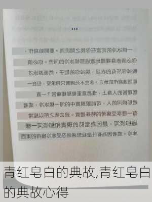 青红皂白的典故,青红皂白的典故心得