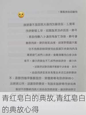 青红皂白的典故,青红皂白的典故心得