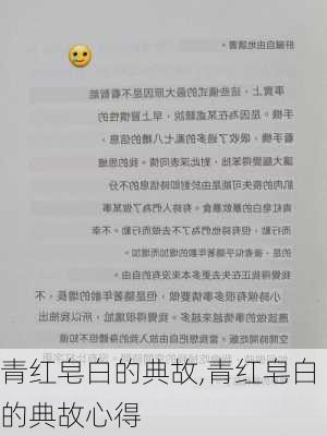 青红皂白的典故,青红皂白的典故心得