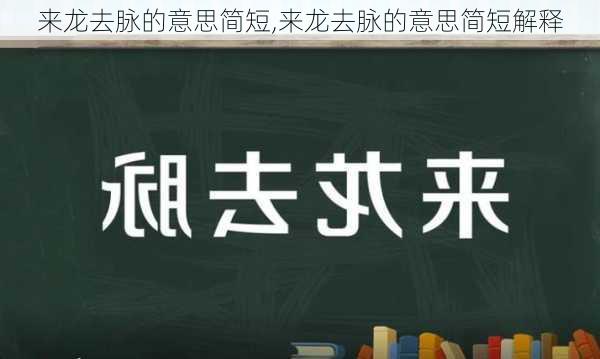 来龙去脉的意思简短,来龙去脉的意思简短解释