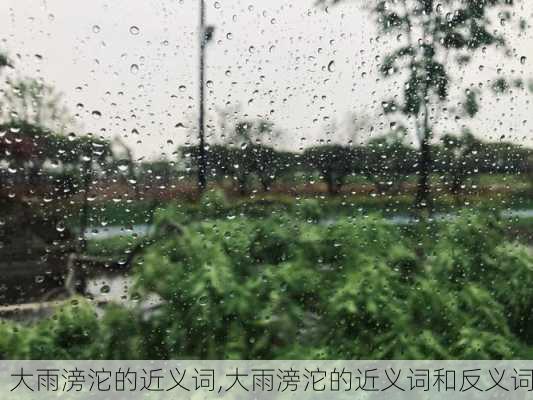 大雨滂沱的近义词,大雨滂沱的近义词和反义词