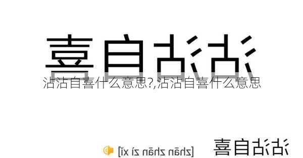 沾沾自喜什么意思?,沾沾自喜什么意思