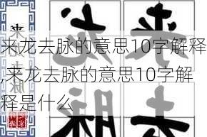 来龙去脉的意思10字解释,来龙去脉的意思10字解释是什么