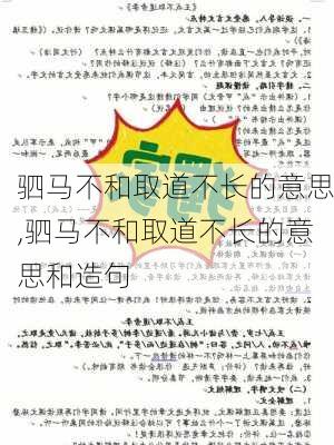 驷马不和取道不长的意思,驷马不和取道不长的意思和造句