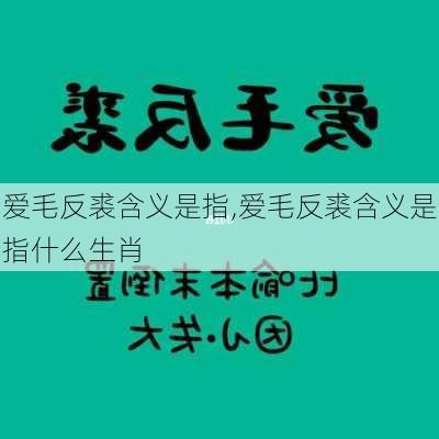 爱毛反裘含义是指,爱毛反裘含义是指什么生肖