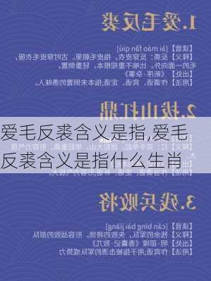 爱毛反裘含义是指,爱毛反裘含义是指什么生肖