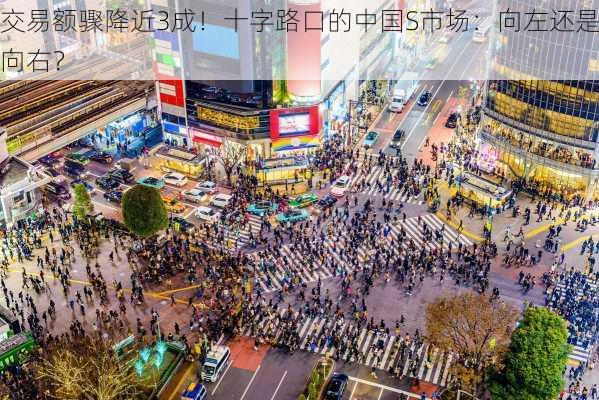 交易额骤降近3成！十字路口的中国S市场：向左还是向右？