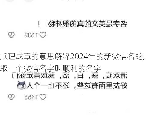 顺理成章的意思解释2024年的新微信名蛇,取一个微信名字叫顺利的名字