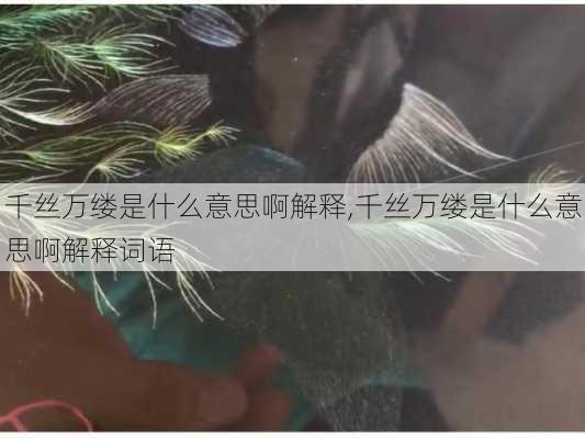 千丝万缕是什么意思啊解释,千丝万缕是什么意思啊解释词语