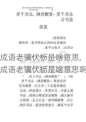 成语老骥伏枥是啥意思,成语老骥伏枥是啥意思啊