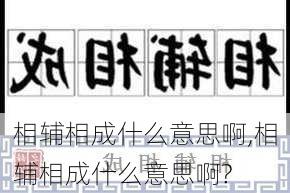 相辅相成什么意思啊,相辅相成什么意思啊?