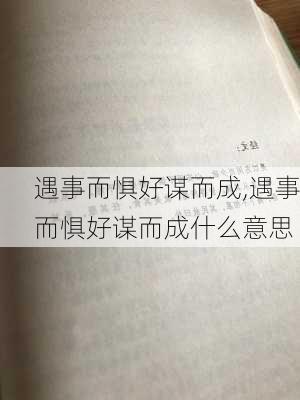 遇事而惧好谋而成,遇事而惧好谋而成什么意思