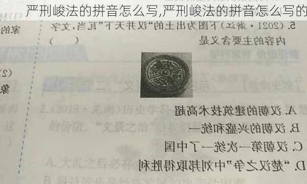 严刑峻法的拼音怎么写,严刑峻法的拼音怎么写的