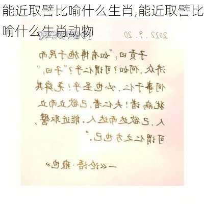 能近取譬比喻什么生肖,能近取譬比喻什么生肖动物