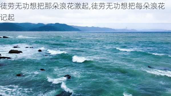 徒劳无功想把那朵浪花激起,徒劳无功想把每朵浪花记起