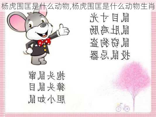 杨虎围匡是什么动物,杨虎围匡是什么动物生肖