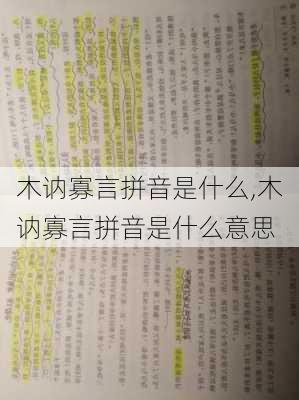 木讷寡言拼音是什么,木讷寡言拼音是什么意思