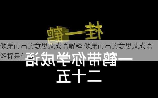 倾巢而出的意思及成语解释,倾巢而出的意思及成语解释是什么