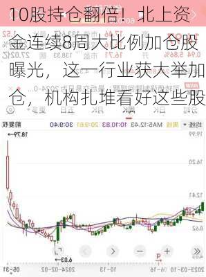 10股持仓翻倍！北上资金连续8周大比例加仓股曝光，这一行业获大举加仓，机构扎堆看好这些股