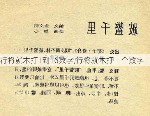 行将就木打1到16数字,行将就木打一个数字